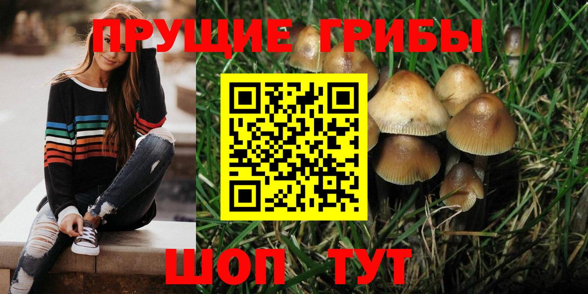 Аргун  Псилоцибиновые грибы MAGIC MUSHROOMS  Псилоцибиновые грибы Psilocybine cubensis  Вход с VPN 